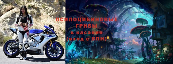 крисы Белокуриха